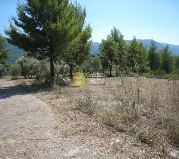Residential 8100m<sup>2</sup> for sale photo 1280780