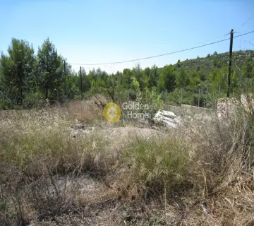Residential 8100m<sup>2</sup> for sale photo 1280780