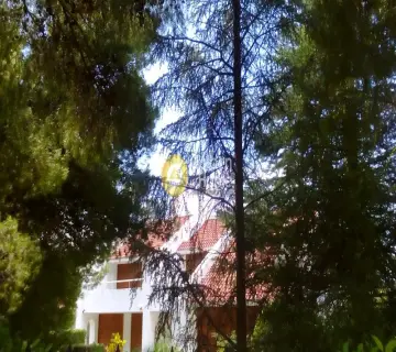 Μονοκατοικία 312τ.μ. προς πώληση φωτογραφία 47
