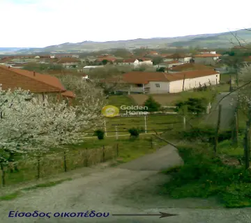 Golden Home Property Image