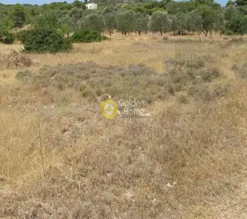 Residential 2238m<sup>2</sup> for sale photo 1359414