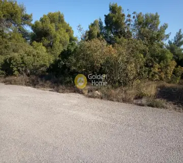 Οικιστικό 2300τ.μ. προς πώληση φωτογραφία 1899463