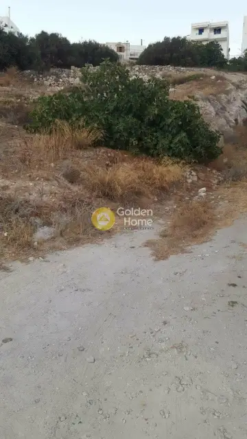 Οικιστικό 701τ.μ. προς πώληση φωτογραφία 3