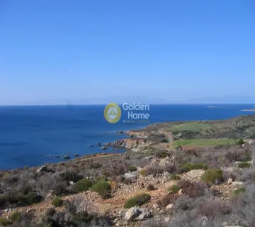 Έκταση 86000τ.μ. προς πώληση φωτογραφία 3