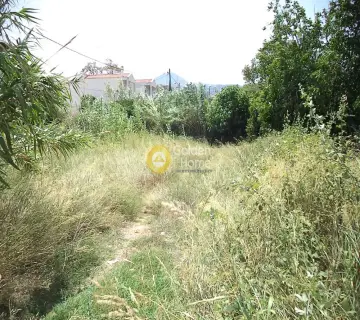 Οικιστικό 486τ.μ. προς πώληση φωτογραφία 1285476