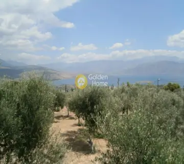 Residential 16500m<sup>2</sup> for sale photo 1288276