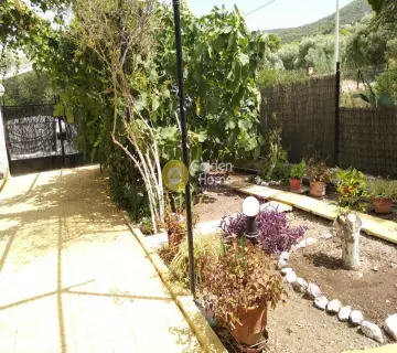 House 70m<sup>2</sup> for sale photo 3