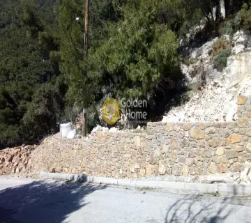 Οικιστικό 1036τ.μ. προς πώληση φωτογραφία 5
