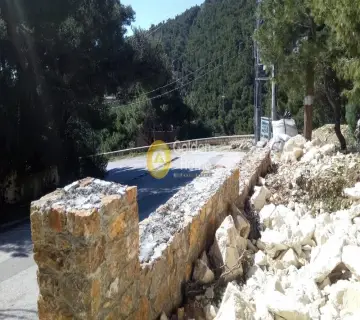 Οικιστικό 1036τ.μ. προς πώληση φωτογραφία 8