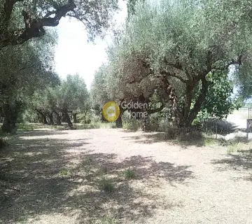 Residential 314m<sup>2</sup> for sale photo 1