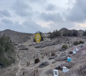 Golden Home Property Image