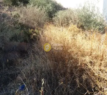 Οικιστικό 630τ.μ. προς πώληση φωτογραφία 4708807