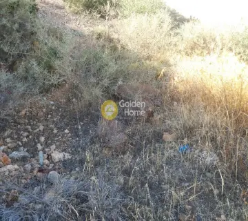 Οικιστικό 630τ.μ. προς πώληση φωτογραφία 4