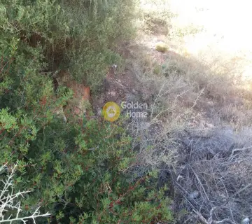 Οικιστικό 630τ.μ. προς πώληση φωτογραφία 4708805