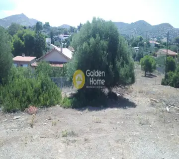 Residential 995m<sup>2</sup> for sale photo 1294864