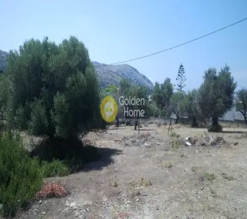 Residential 995m<sup>2</sup> for sale photo 1294867