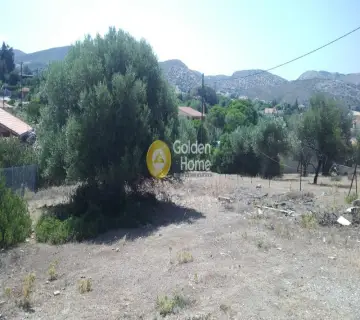 Residential 995m<sup>2</sup> for sale photo 1294865