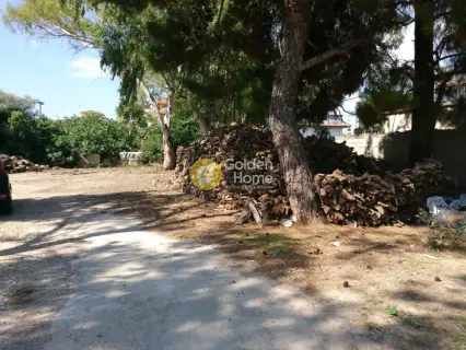 Οικιστικό 3455τ.μ. προς πώληση φωτογραφία 3