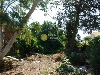 Οικιστικό 3455τ.μ. προς πώληση φωτογραφία 5