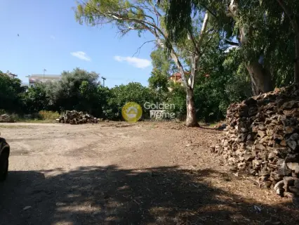 Οικιστικό 3455τ.μ. προς πώληση φωτογραφία 6