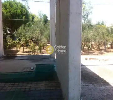 Κτίριο 1080τ.μ. προς πώληση φωτογραφία 5