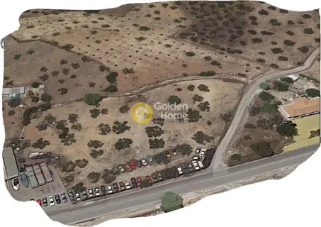 Golden Home Property Image