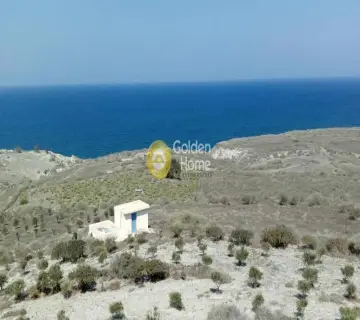 Golden Home Property Image