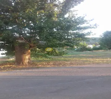 Residential 687m<sup>2</sup> for sale photo 1304630