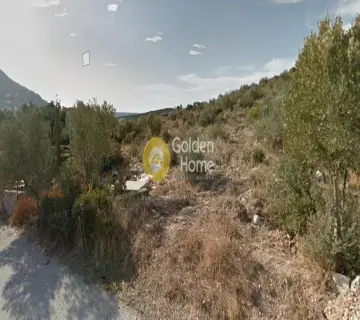 Area 20590m<sup>2</sup> for sale photo 8