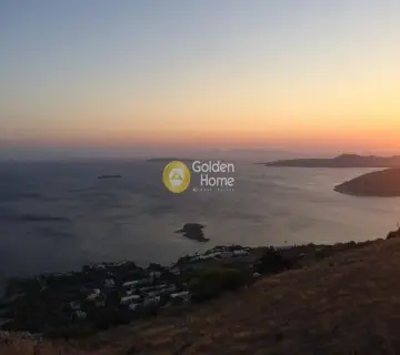 Αγροτεμάχιο 4000τ.μ. προς πώληση φωτογραφία 4