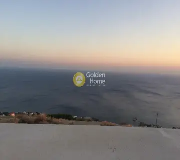 Αγροτεμάχιο 4000τ.μ. προς πώληση φωτογραφία 5