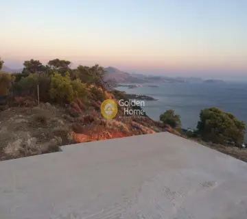 Αγροτεμάχιο 4000τ.μ. προς πώληση φωτογραφία 6