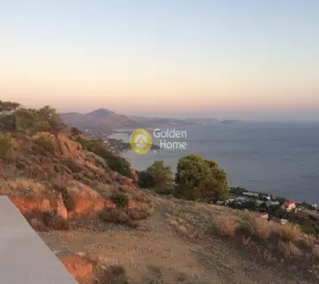 Αγροτεμάχιο 4000τ.μ. προς πώληση φωτογραφία 10