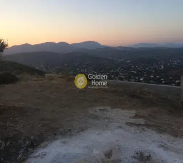 Αγροτεμάχιο 4000τ.μ. προς πώληση φωτογραφία 11