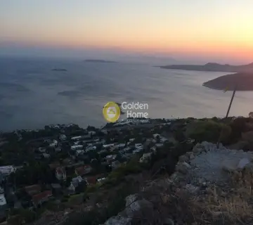 Αγροτεμάχιο 4000τ.μ. προς πώληση φωτογραφία 13