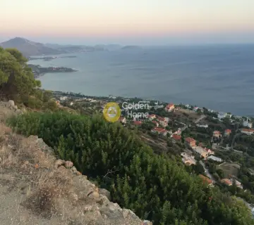 Αγροτεμάχιο 4000τ.μ. προς πώληση φωτογραφία 14
