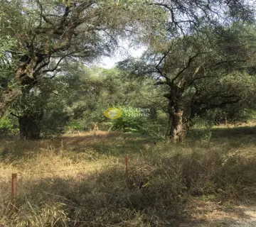 Residential 4200m<sup>2</sup> for sale photo 1311542