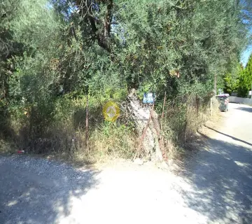 住宅 689m<sup>2</sup> for sale photo 1312277