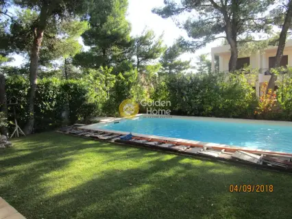 House 300m<sup>2</sup> for sale photo 24