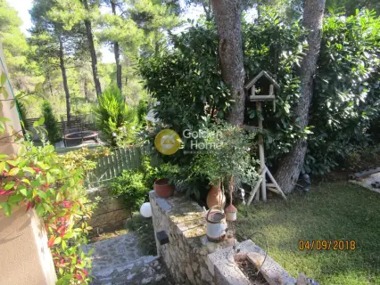 House 300m<sup>2</sup> for sale photo 25