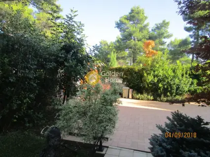 House 300m<sup>2</sup> for sale photo 64