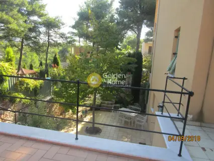House 300m<sup>2</sup> for sale photo 67