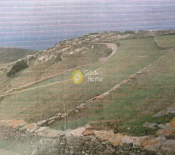 Residential 2909m<sup>2</sup> for sale photo 3