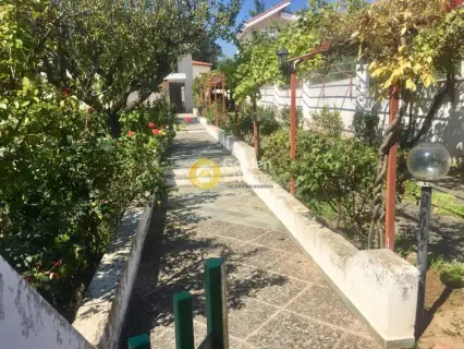 Μονοκατοικία 450τ.μ. προς πώληση φωτογραφία 8