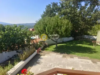 Μονοκατοικία 450τ.μ. προς πώληση φωτογραφία 3