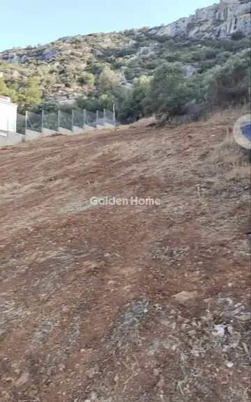 Οικιστικό 1129τ.μ. προς πώληση φωτογραφία 4