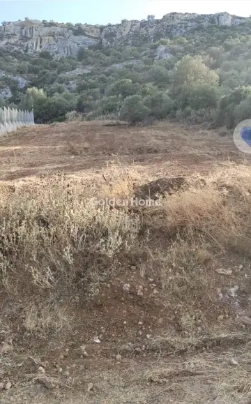 Οικιστικό 1129τ.μ. προς πώληση φωτογραφία 5