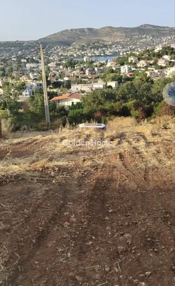 Οικιστικό 1129τ.μ. προς πώληση φωτογραφία 1