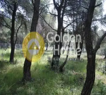 Οικιστικό 1013τ.μ. προς πώληση φωτογραφία 2446076