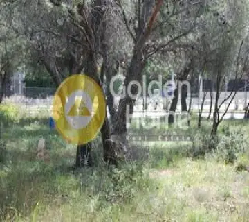 Οικιστικό 1013τ.μ. προς πώληση φωτογραφία 2446076
